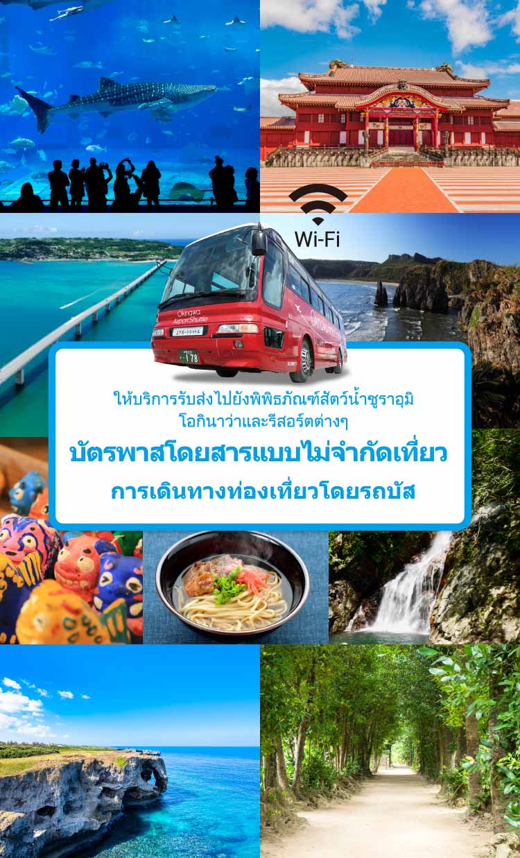 ให้บริการรับส่งไปยังพิพิธภัณฑ์สัตว์น้ำชูราอุมิ โอกินาว่าและรีสอร์ตต่างๆ บัตรพาสโดยสารแบบไม่จำกัดเที่ยว การเดินทางท่องเที่ยวโดยรถบัส